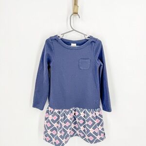 Gymboree Blue and Pink Long Sleeve Casual Dress